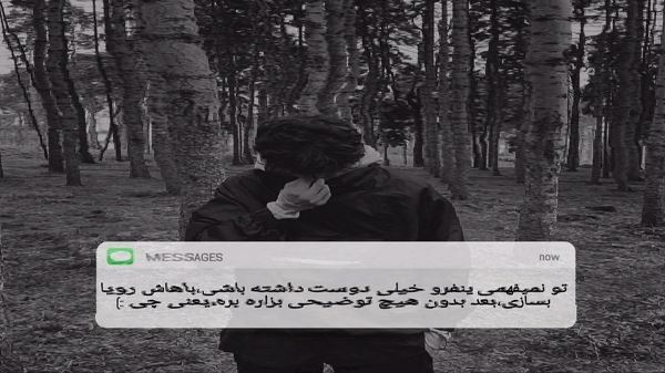 امشب دلی پاره پاره دارم از ظلم فلک صد ناله دارم